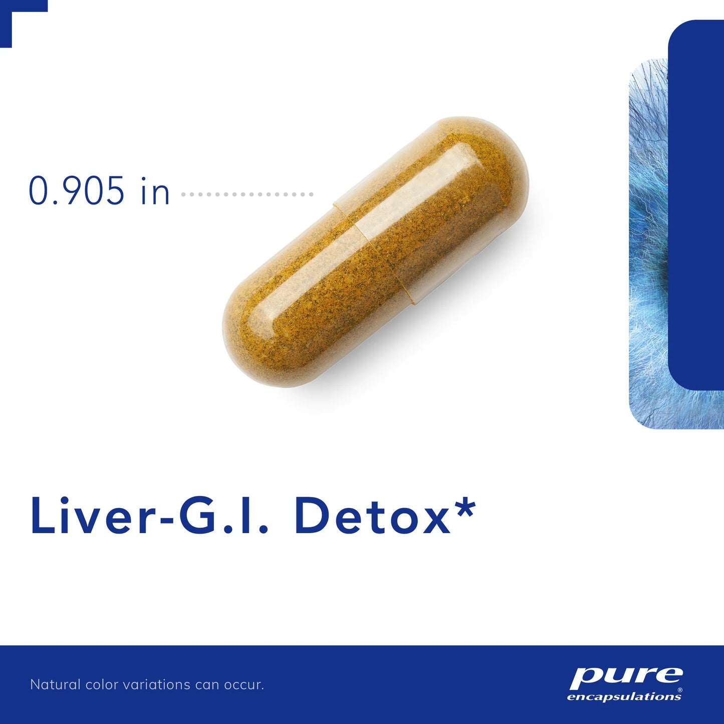 Liver-G.I Detox