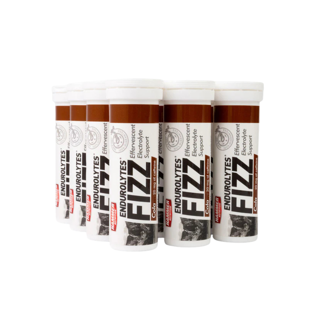 Endurolytes Fizz 1 Box of 12 (Lemon-Lime)