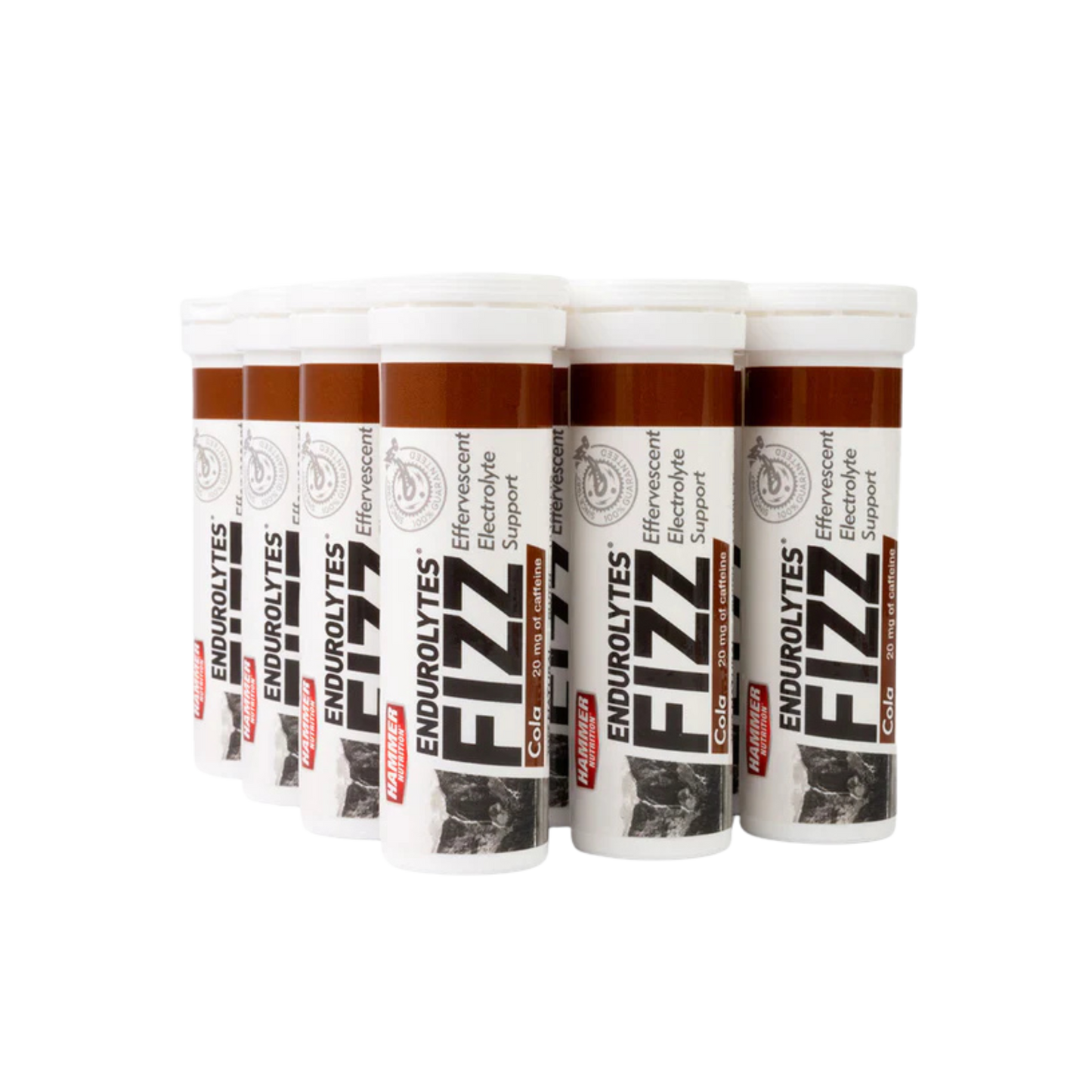 Endurolytes Fizz 1 Box of 12 (Lemon-Lime)