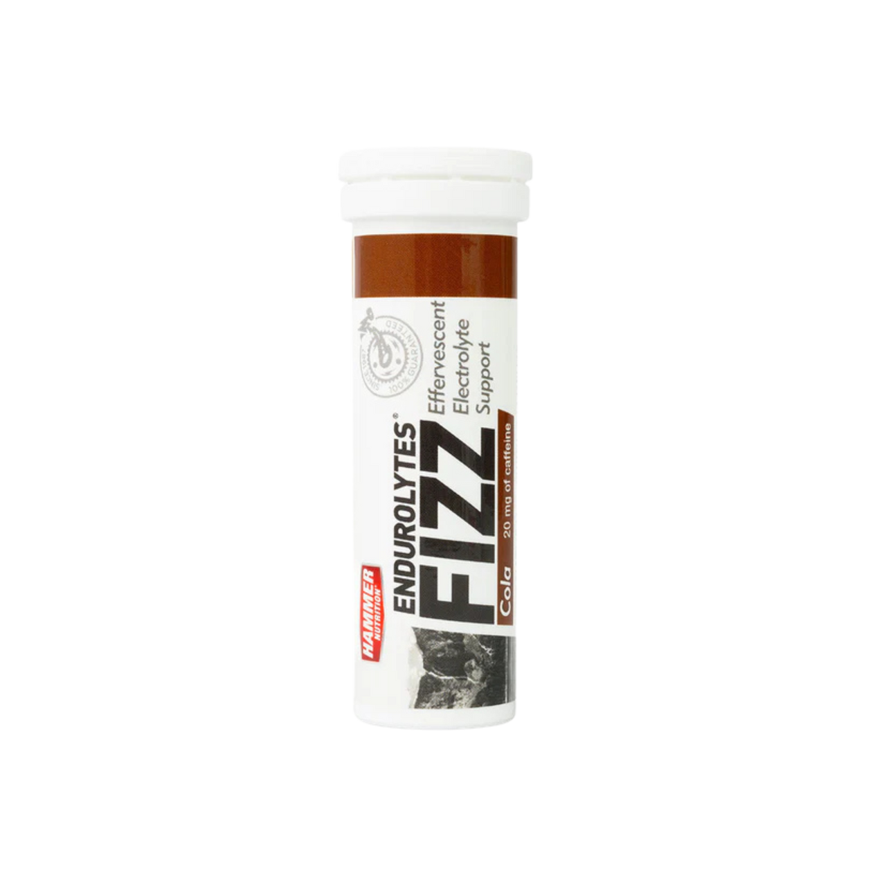 Endurolytes Fizz Single (Grape)