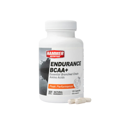 Endurance BCAA+ - 120 Capsules