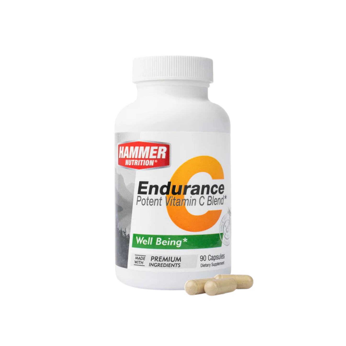Endurance C