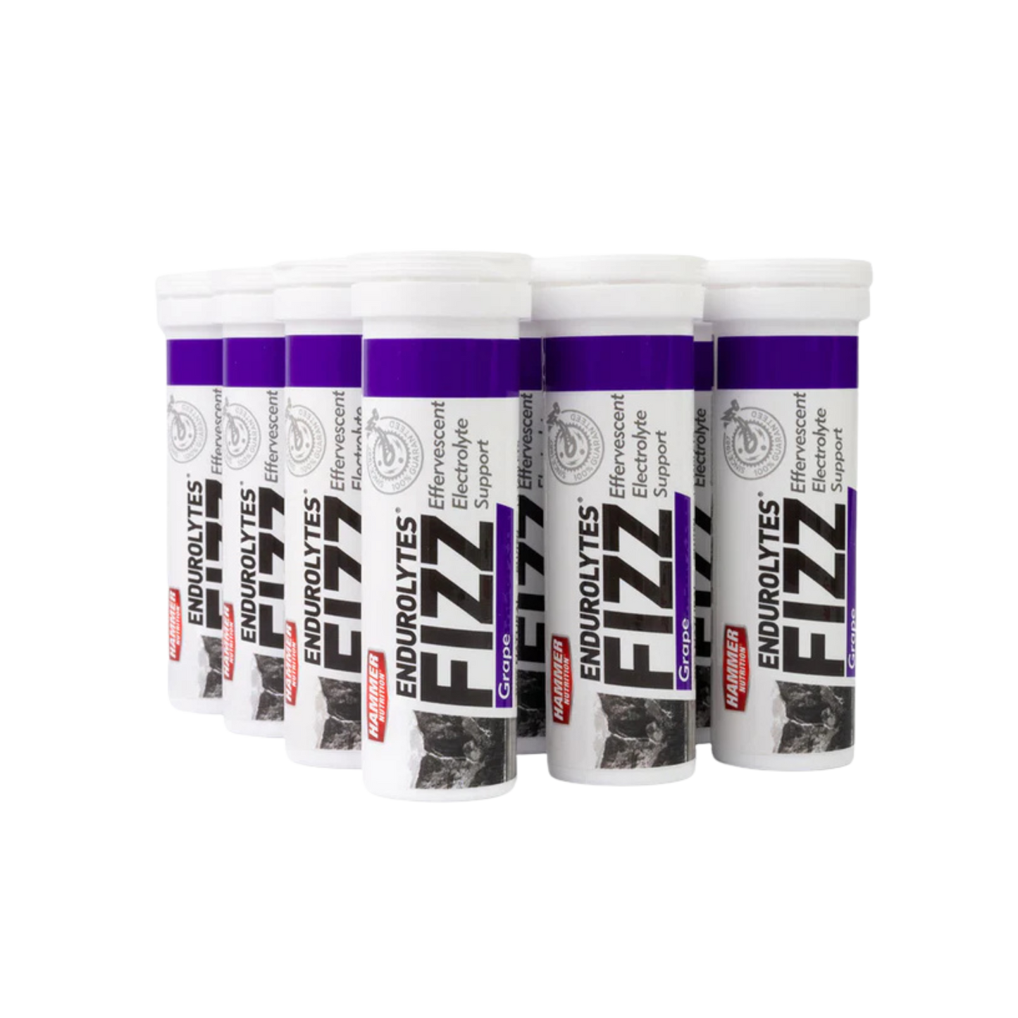 Endurolytes Fizz 1 Box of 12 (Lemon-Lime)