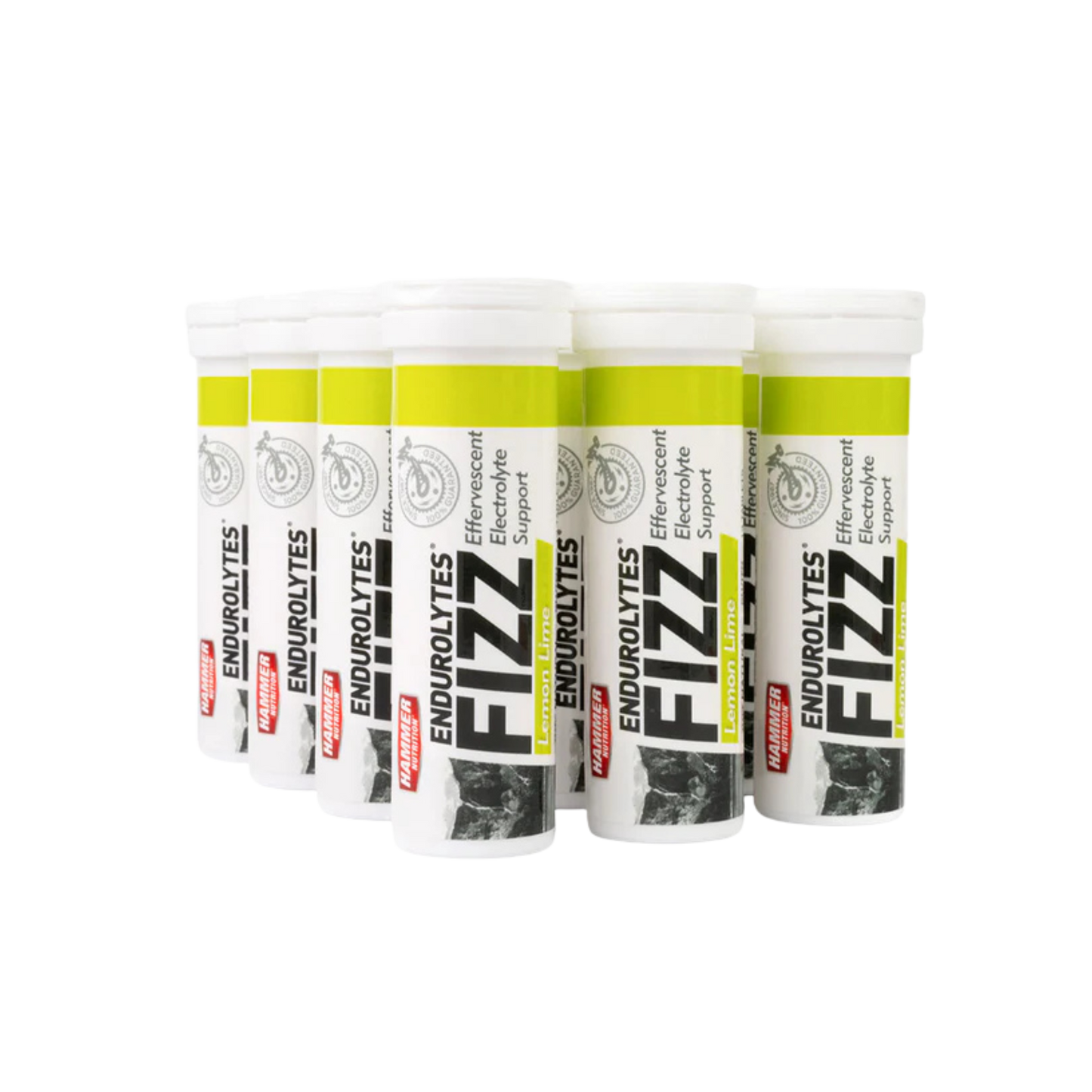 Endurolytes Fizz 1 Box of 12 (Lemon-Lime)