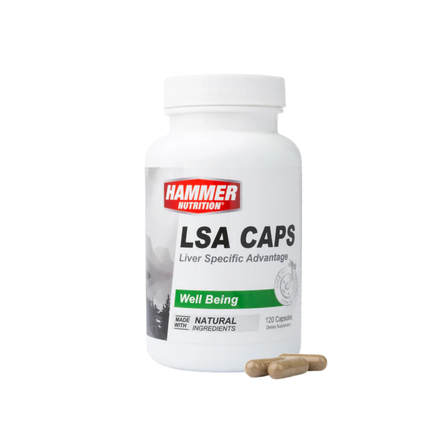 LSA Caps
