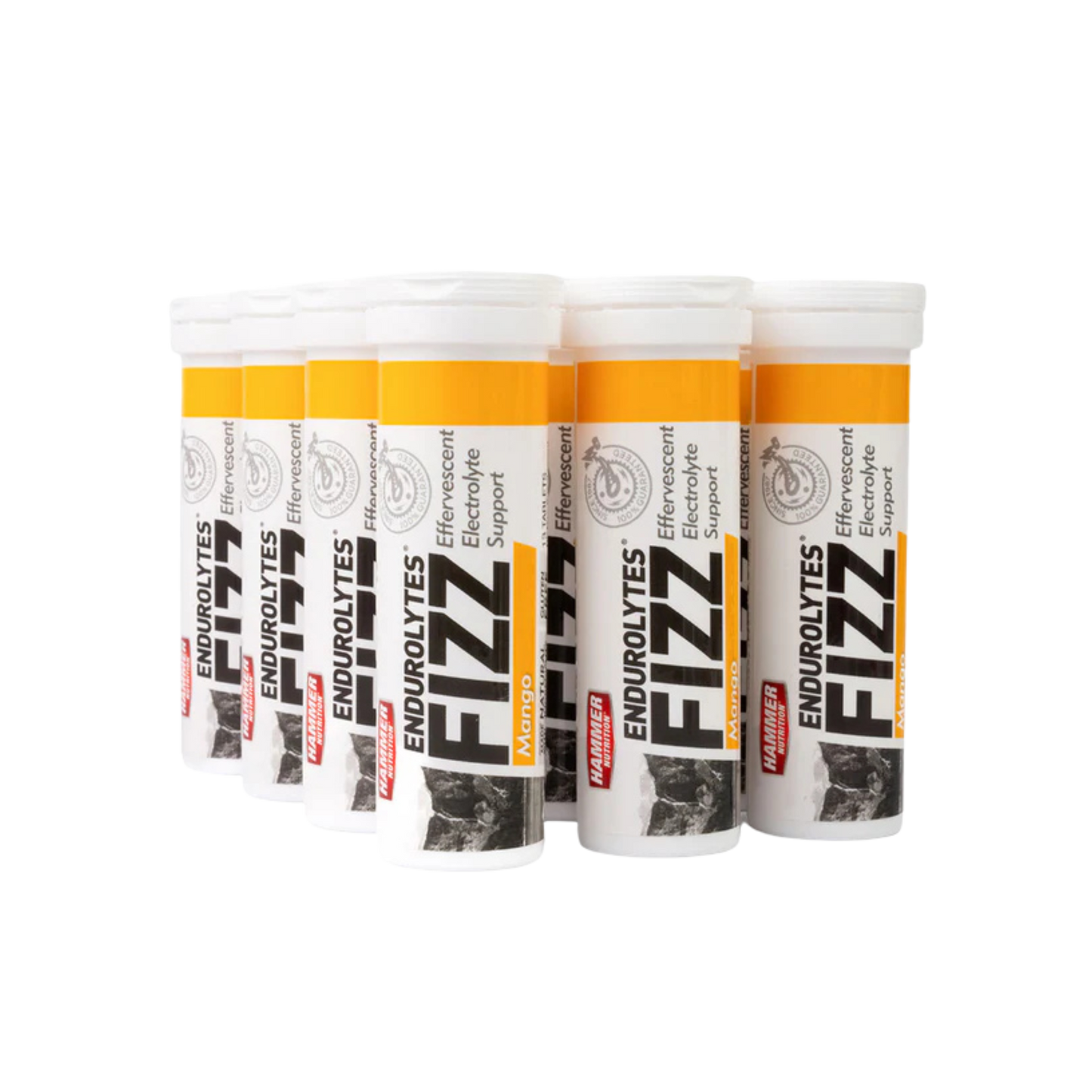 Endurolytes Fizz 1 Box of 12 (Lemon-Lime)