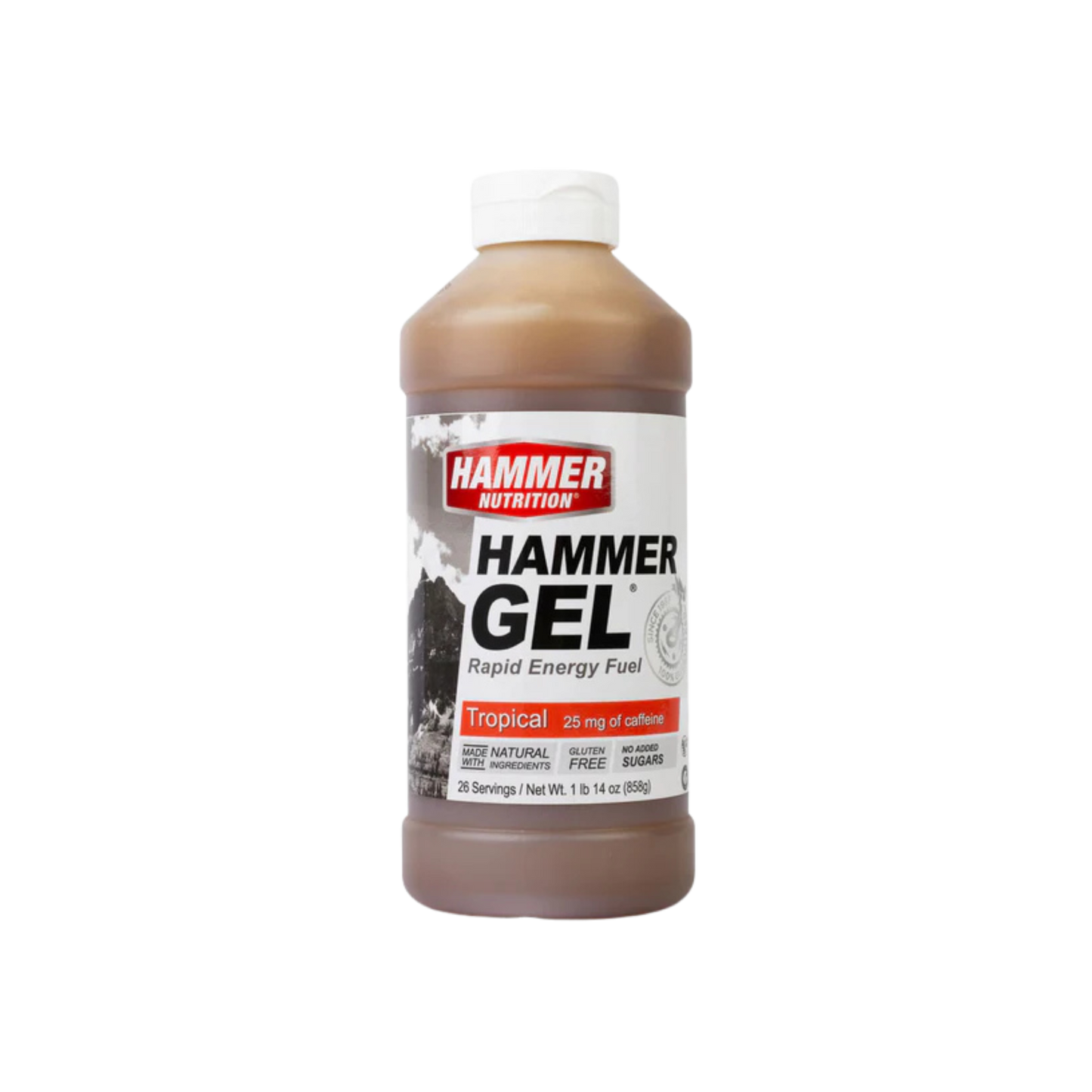 Hammer Gel Montana Huckleberry (26 servings)